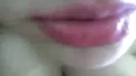 有長毛的貓的性感的寶貝在玩具跳