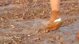 悶熱的阿拉伯女孩盡可能地通過她的鑄造