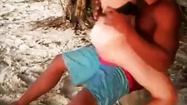 解放的小雞給了老師